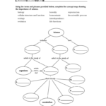 25 Skills Worksheet Concept Mapping Answers Holt Biology Free