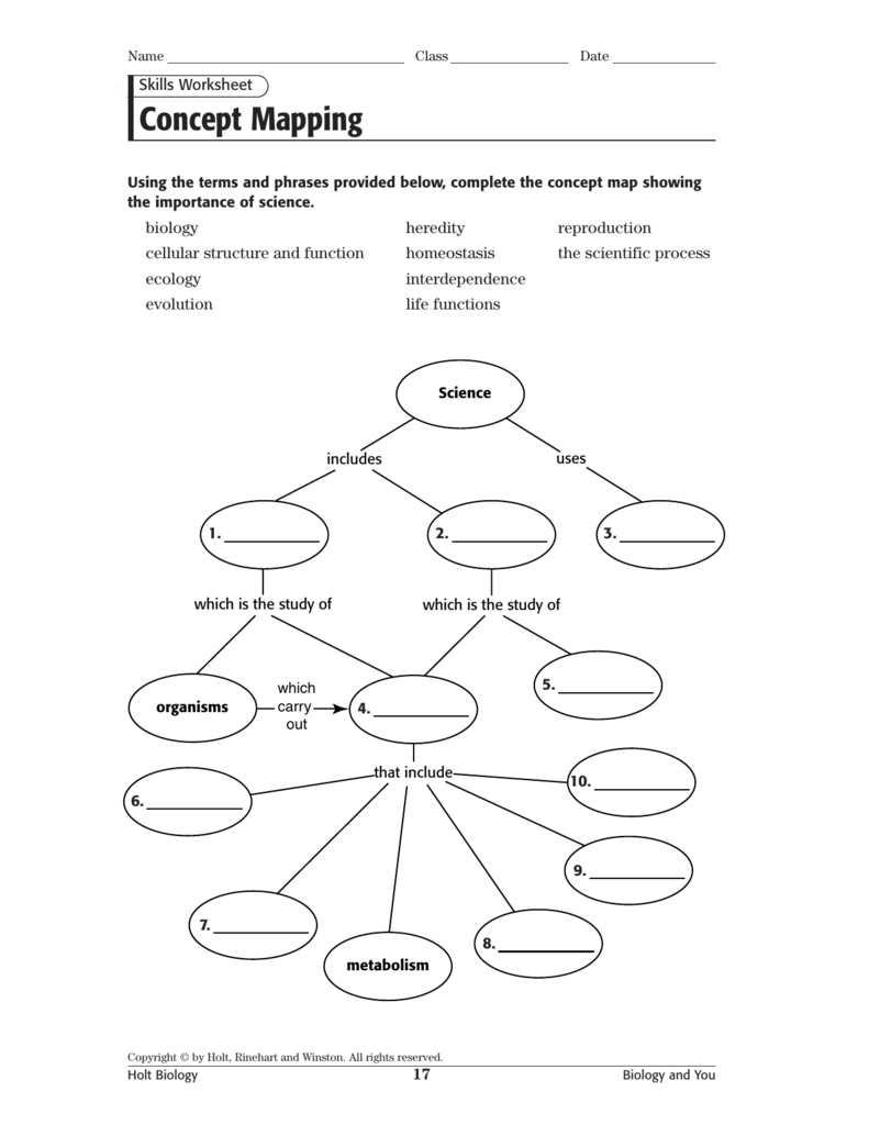 25 Skills Worksheet Concept Mapping Answers Holt Biology Free