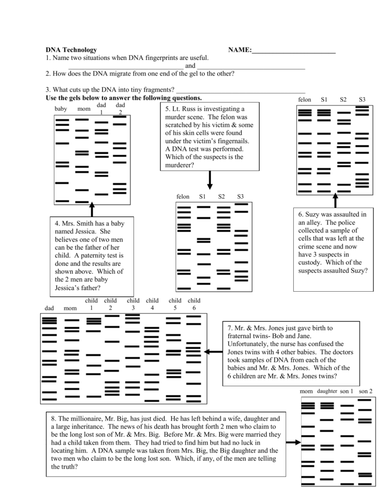 27 Dna Fingerprinting Worksheet Answers Worksheet Information