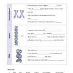 30 Cell Reproduction Worksheet Answers Education Template