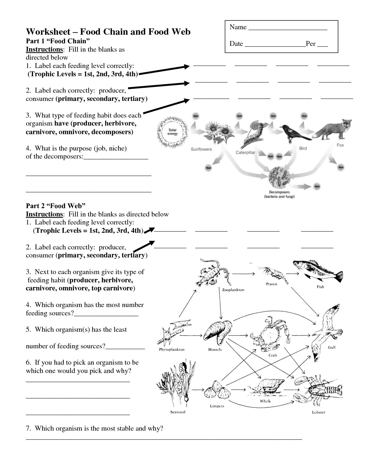 food-chains-and-food-webs-skills-worksheet-answer-key