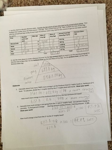 APES Math Teaching Math Ap Environmental Science Basic Math Skills