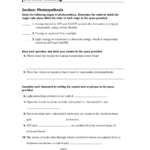 Atp Worksheet Answer Key Nidecmege