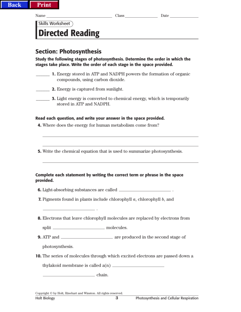 Atp Worksheet Answer Key Nidecmege