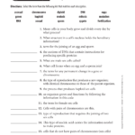 Bestseller Worksheet 15 Meiosis Answers Chapter 10 Section 102