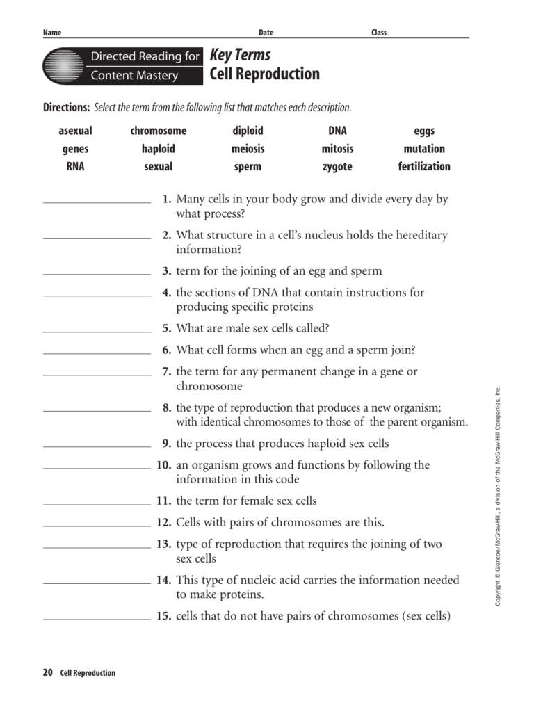 Bestseller Worksheet 15 Meiosis Answers Chapter 10 Section 102