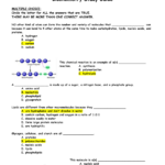 Biochemistry Skills Worksheet Answers Ivuyteq