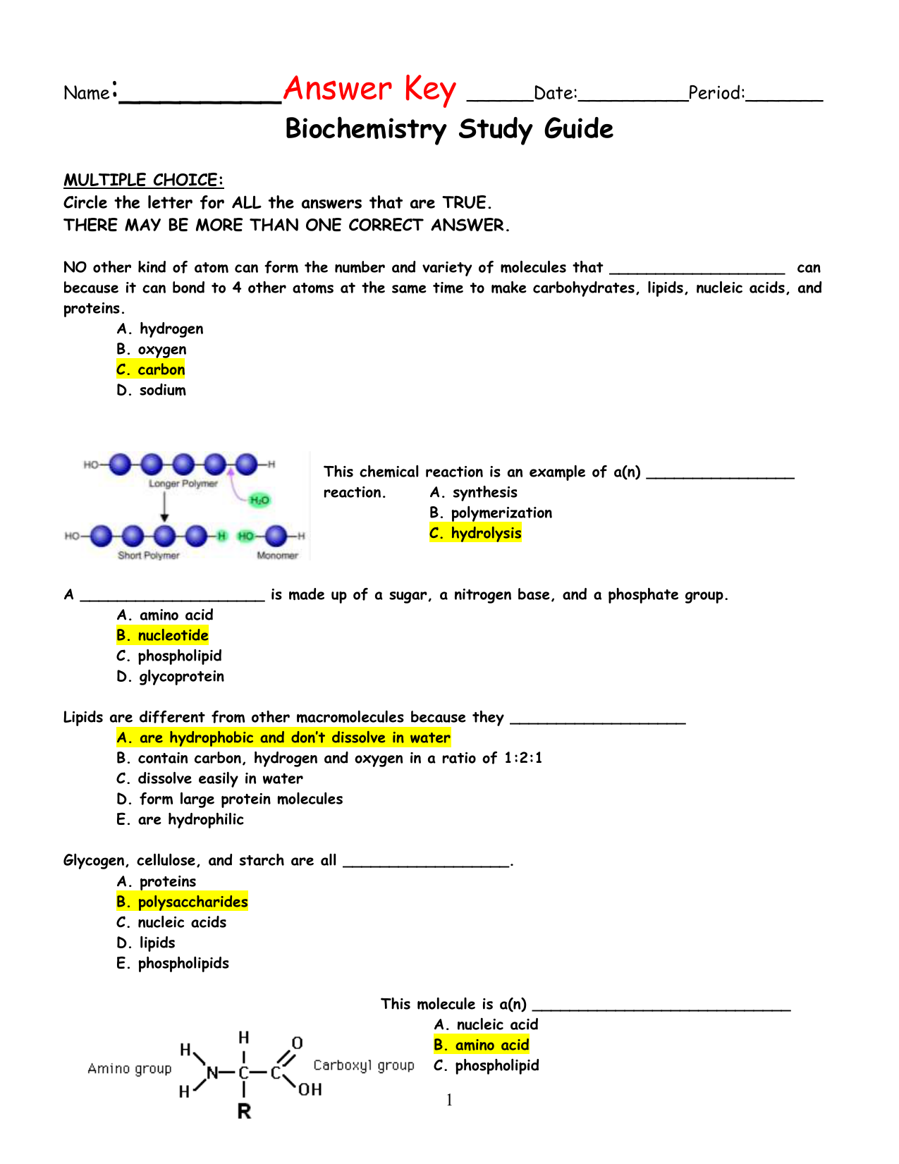 Skills Worksheet Biochemistry Answers - SkillsWorksheets.com