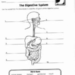 Carson Dellosa Answer Key Home School