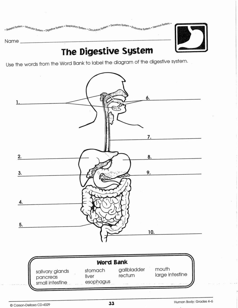 Carson Dellosa Answer Key Home School