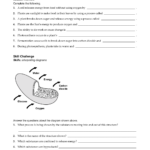 Cellular Respiration General Worksheet