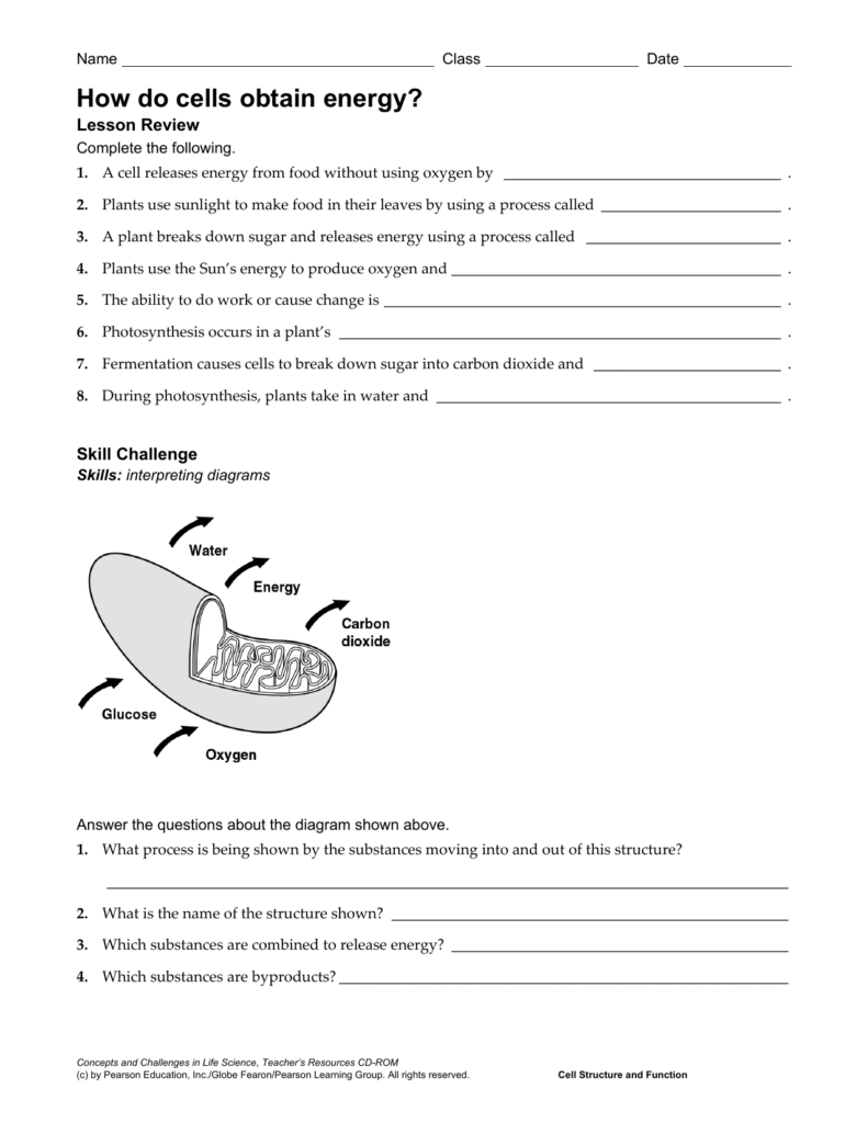 Cellular Respiration General Worksheet