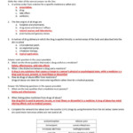 Chapter 9 Understanding Drugs Medicines Worksheet Db excel