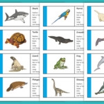 Classifying Vertebrates Animal Cards