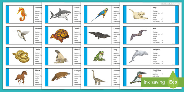 Classifying Vertebrates Animal Cards