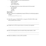 Dna Technology Worksheet Answer Key Worksheet List