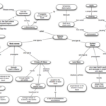 Ecosystem Concept Map Worksheet Answers Db excel