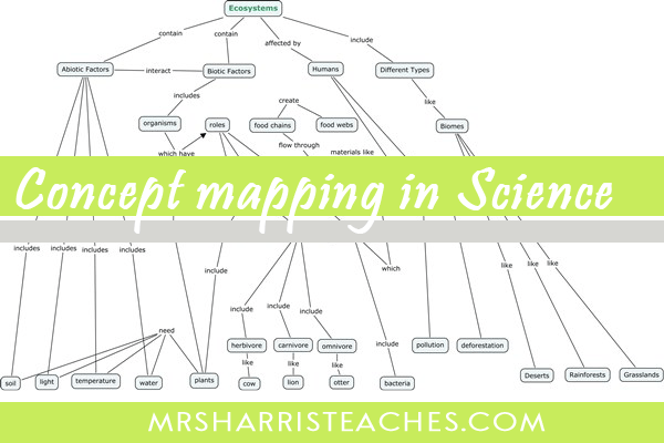 Ecosystem Concept Map Worksheet Answers Worksheet List