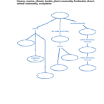 Ecosystem Concept Map Worksheet Answers Worksheet List