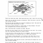 Fish Adaptations Halloween Worksheets Kindergarten Science Skills