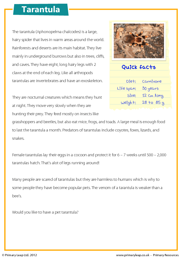 Free Printable Ks2 Worksheets KS1 KS2 SEN IPC Reading 