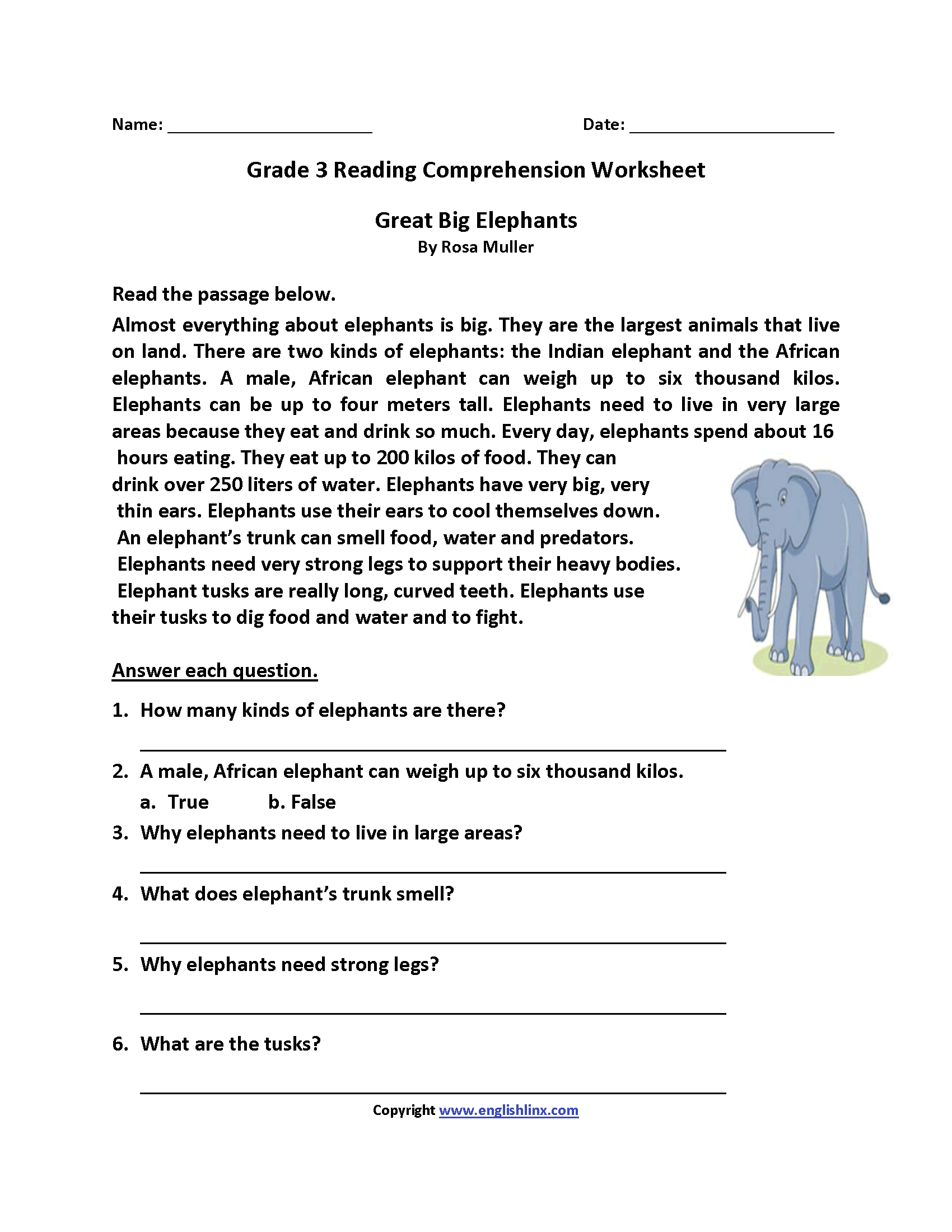 Great Big Elephants Third Grade Reading Worksheets Reading Third 