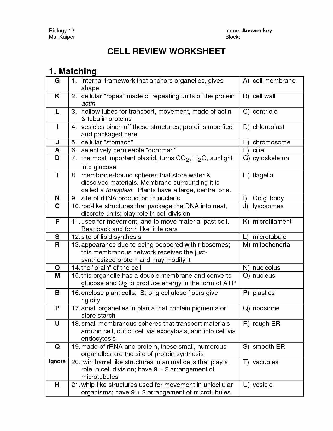 Holt Biology Cells And Their Environment Skills Worksheet Answers