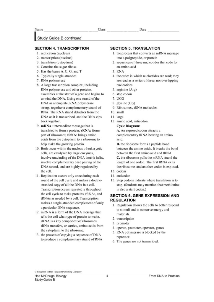 Holt Biology Dna Rna And Proteins Worksheet Answers Worksheet List