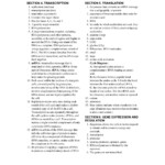 Holt Biology Dna Rna And Proteins Worksheet Answers Worksheet List