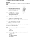 Holt Environmental Science Skills Worksheet Answer Key Ivuyteq