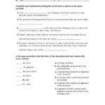 Holt Rinehart And Winston English Worksheet Answers A Worksheet Blog