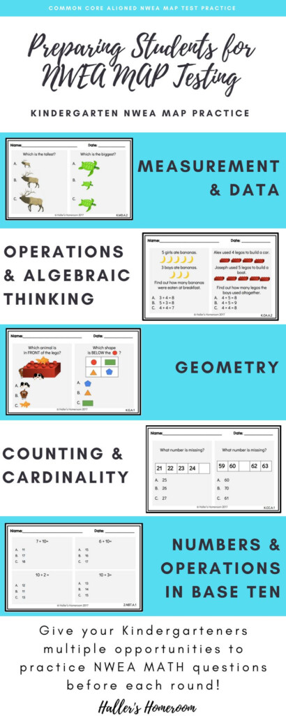 Kindergarten NWEA MAP Math Practice Pages RIT 160 This Or That 