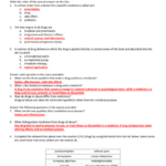 Lifetime Health Skills Worksheet Answers Worksheet List