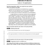 Modern Biology Active Reading Worksheets Answer Key Pdf Dorothy Jame