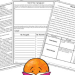 Point Of View Activity Reading Comprehension Activities Teaching 6th