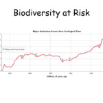 PPT Biodiversity PowerPoint Presentation Free Download ID 4103354