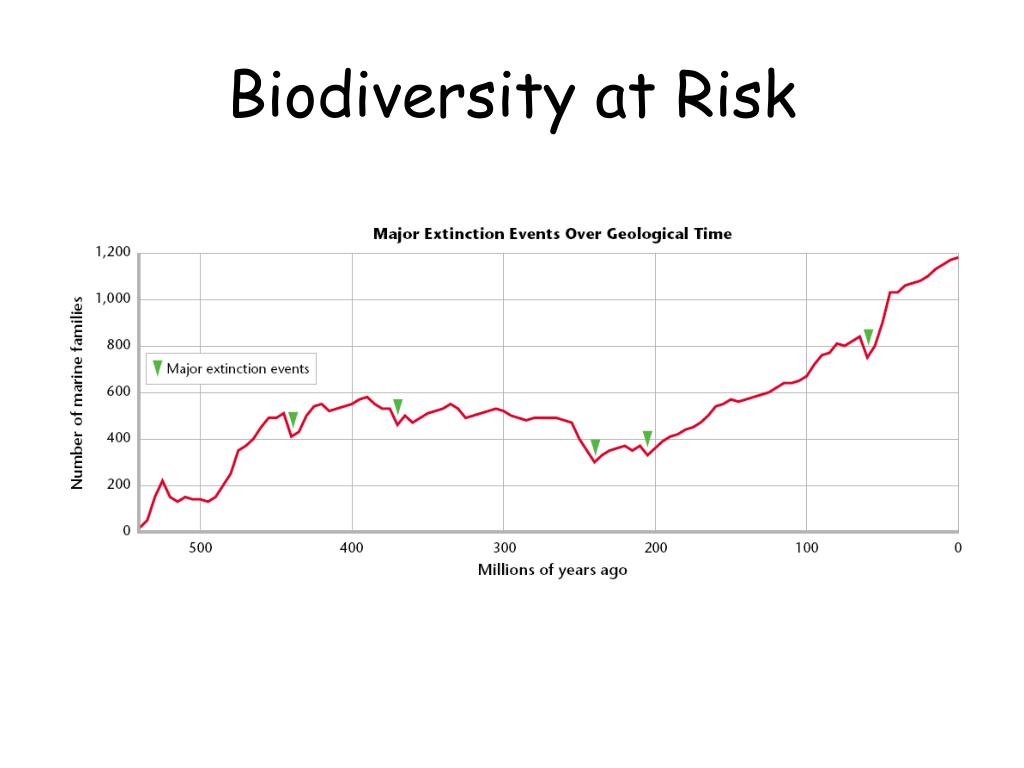 PPT Biodiversity PowerPoint Presentation Free Download ID 4103354