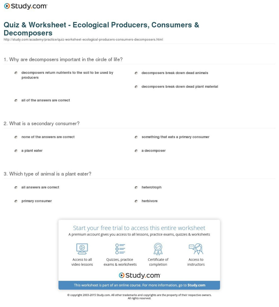 Prairie Ecosystem Gizmo Answer Key Quizlet Waltery Learning Solution 