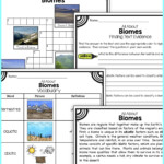 Reading Vocabulary Reading Vocabulary Biomes Activities Teaching