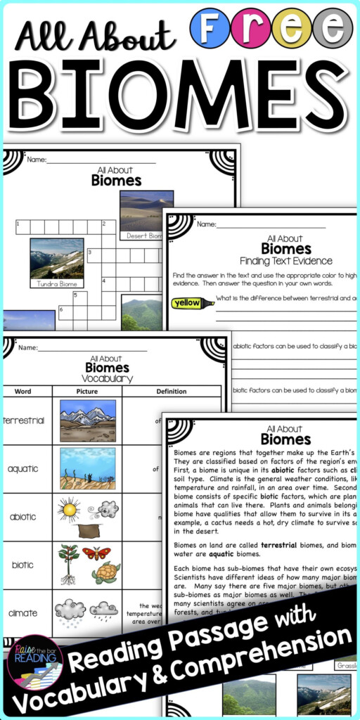 Reading Vocabulary Reading Vocabulary Biomes Activities Teaching 