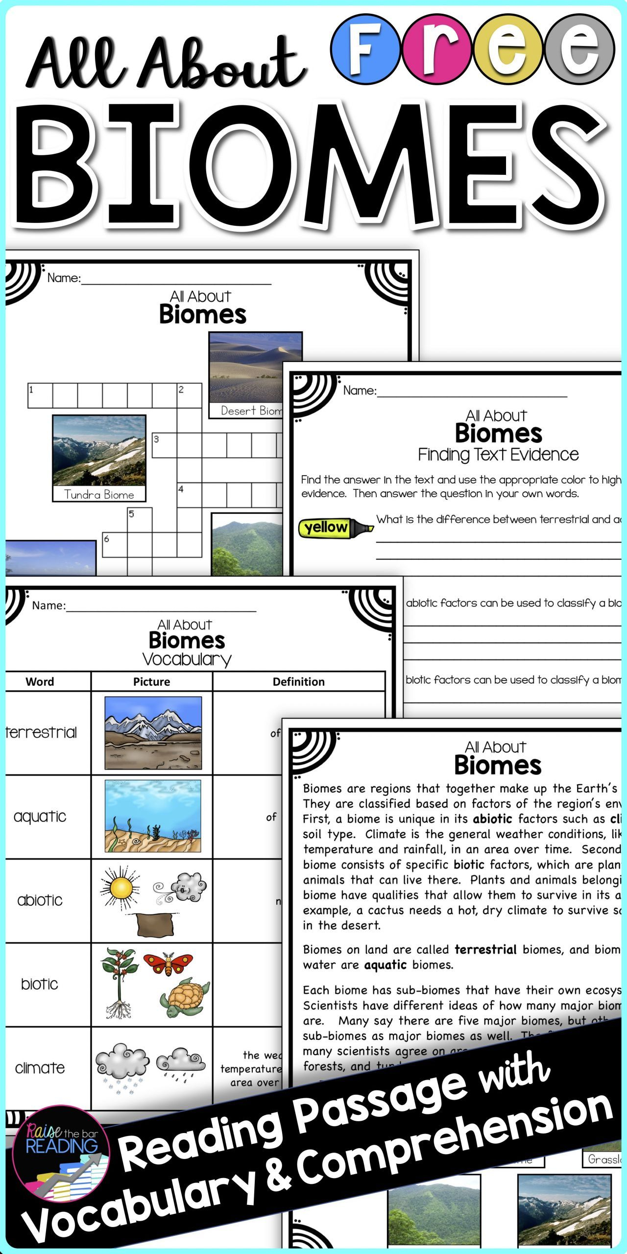 Reading Vocabulary Reading Vocabulary Biomes Activities Teaching