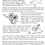 Reptile Adaptations Kindergarten Worksheets Animal Adaptations