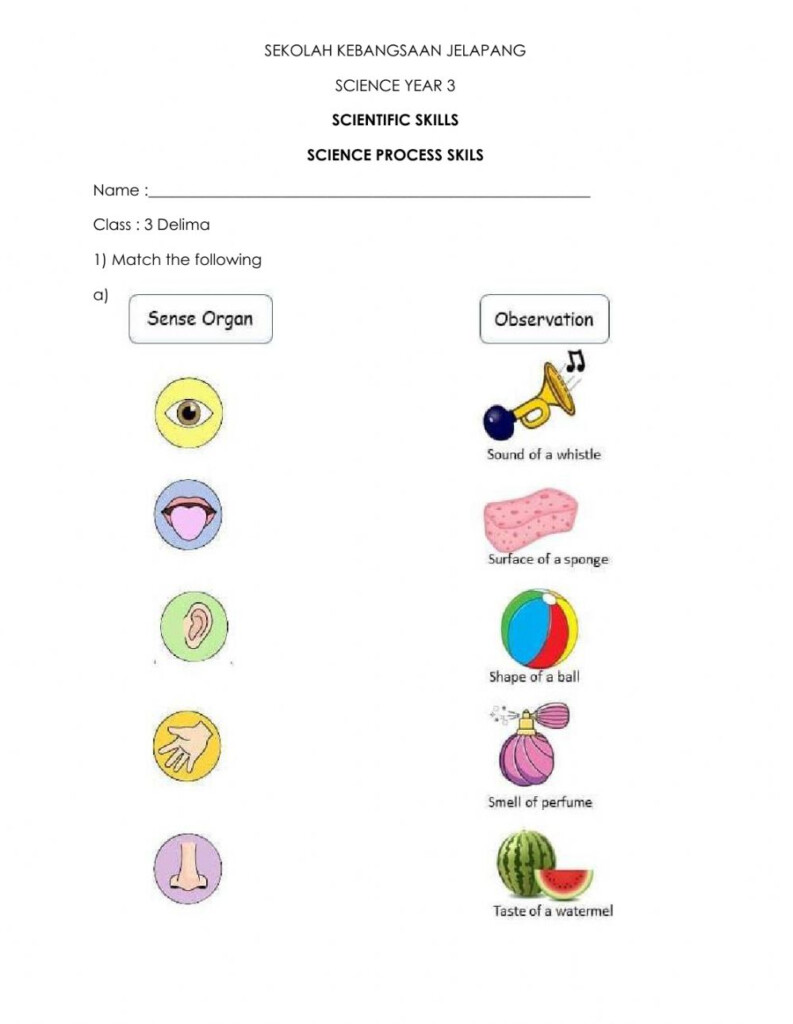 Science Process Skills Observing Worksheet