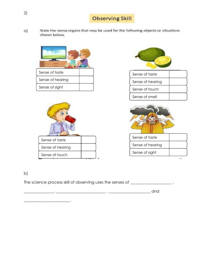 Science Process Skills Observing Worksheet