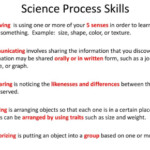 Science Process Skills Quiz ProProfs Quiz