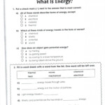 Skills Worksheet Active Reading