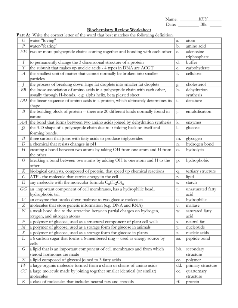 Skills Worksheet Biochemistry Answers Printable Worksheets And 