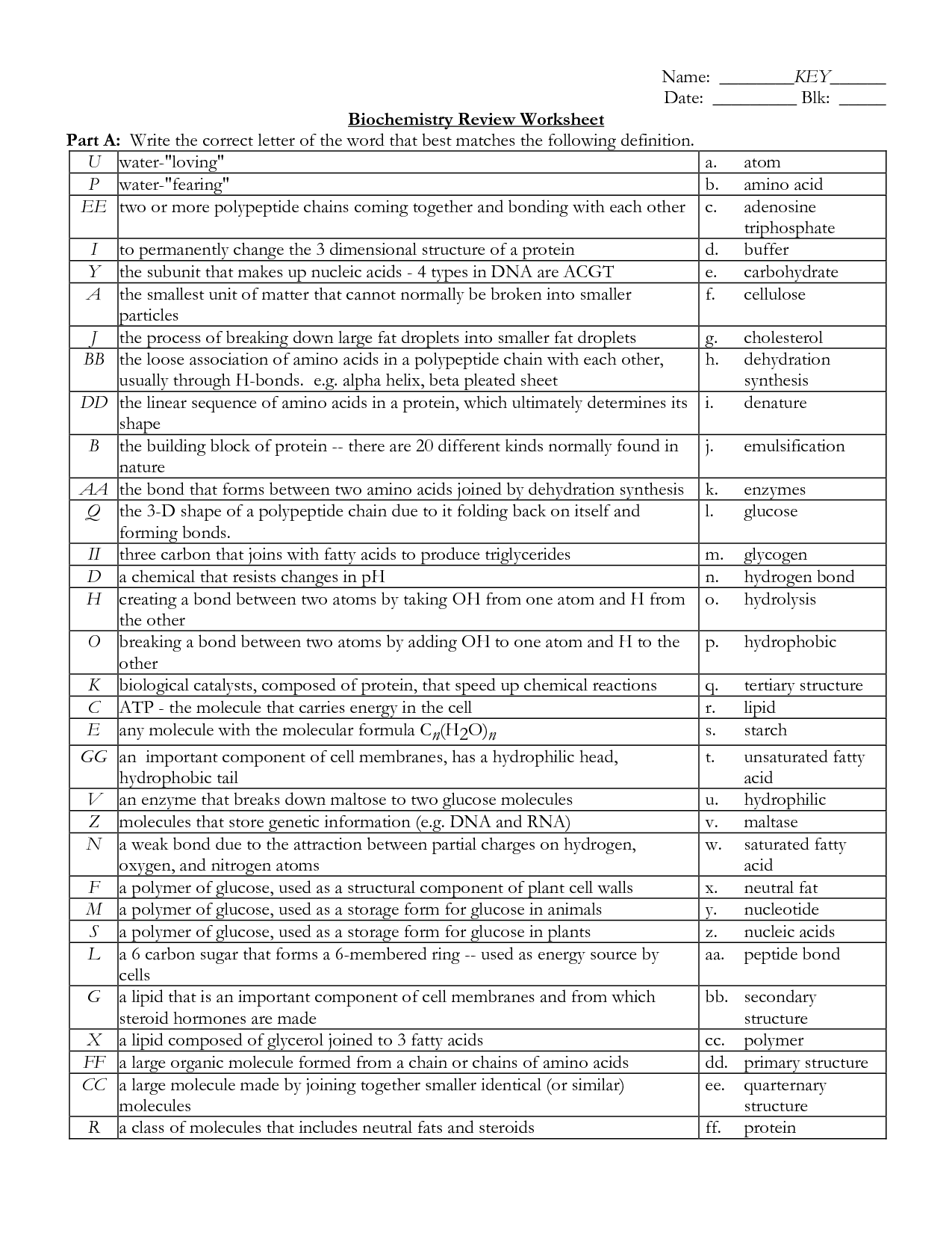 Skills Worksheet Biochemistry Answers Printable Worksheets And