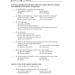 Skills Worksheet Cellular Respiration TUTORE ORG Master Of Documents