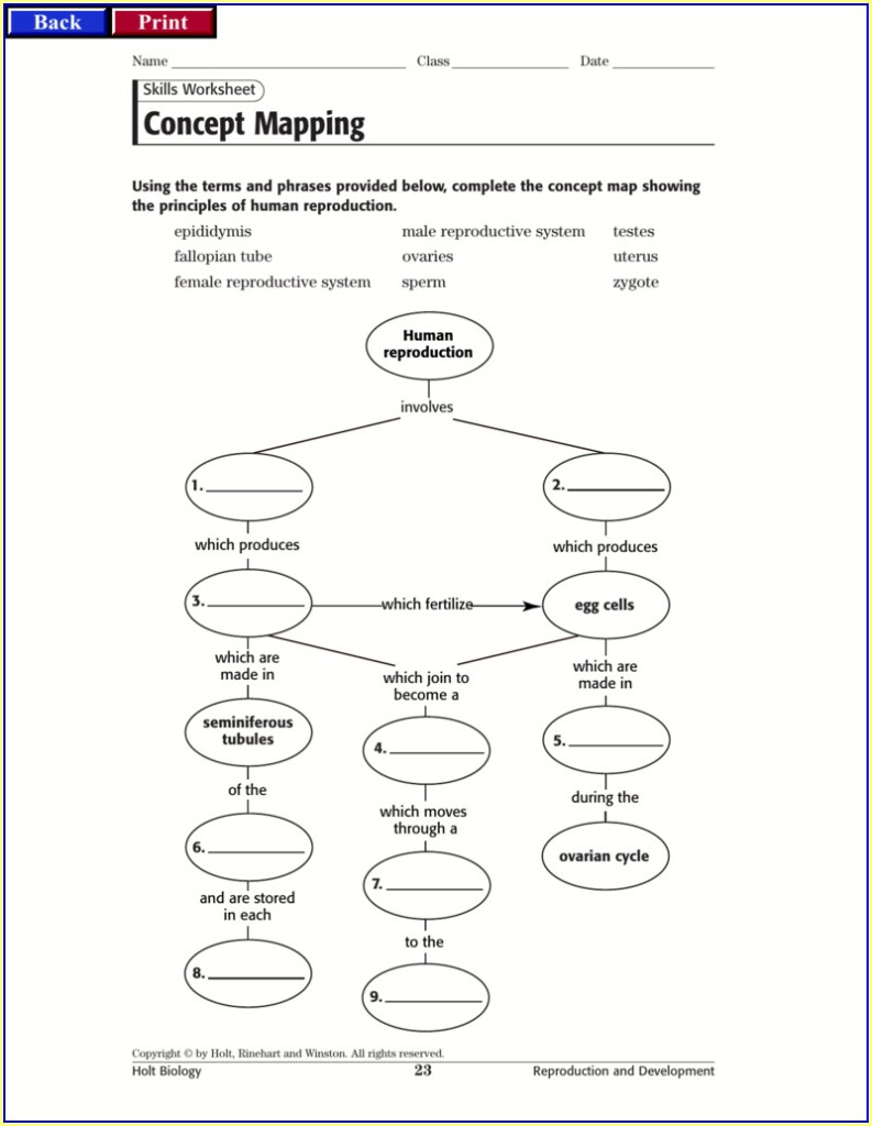 Skills Worksheet Map Skills Canada s Water Answers Worksheet Resume 